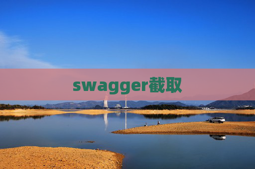 swagger截取
